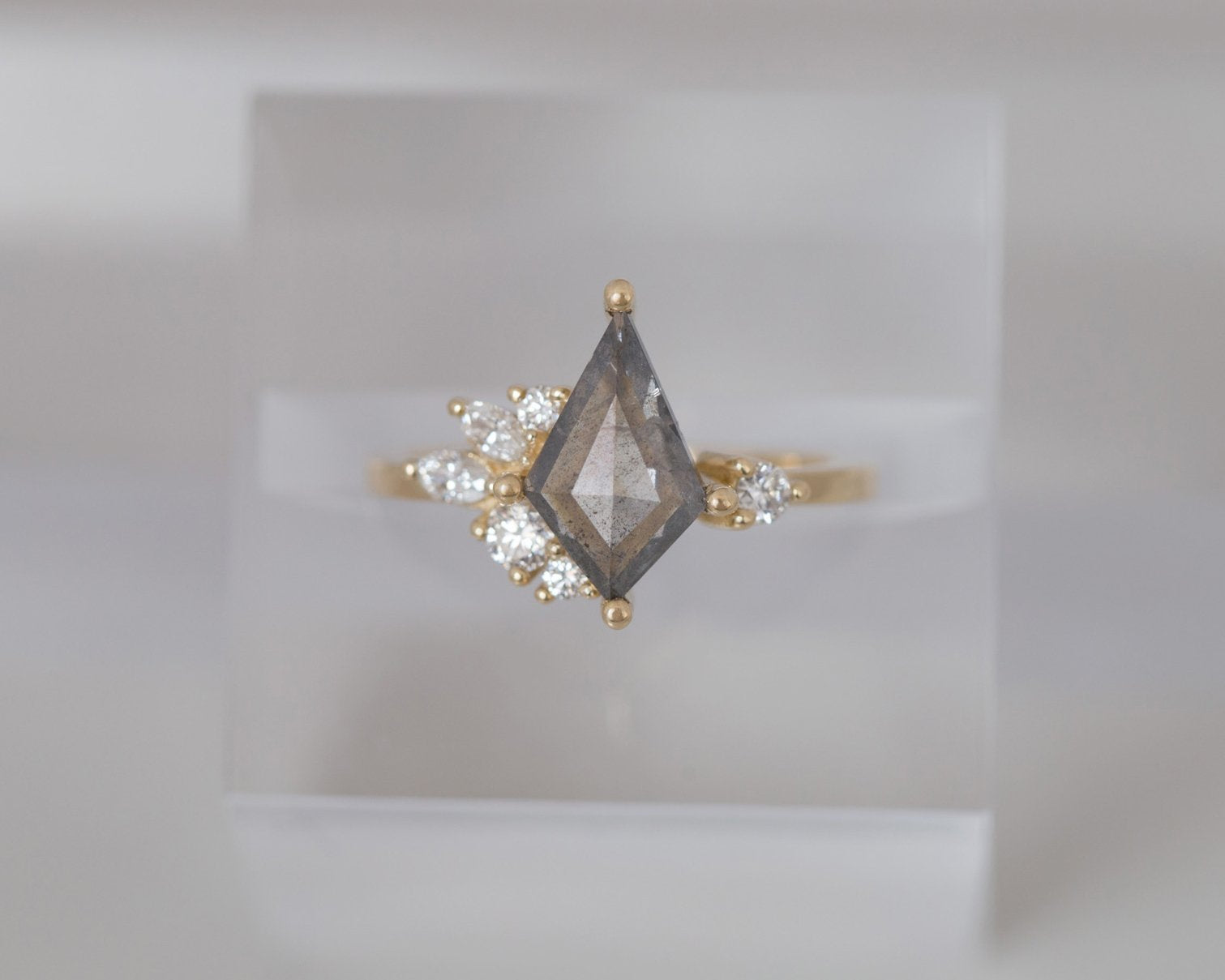 Alden Ring | Salt and Pepper Diamond Kite + Diamond Cluster Engagement Ring 1.37 ct | 14k Recycled Gold | One of a Kind