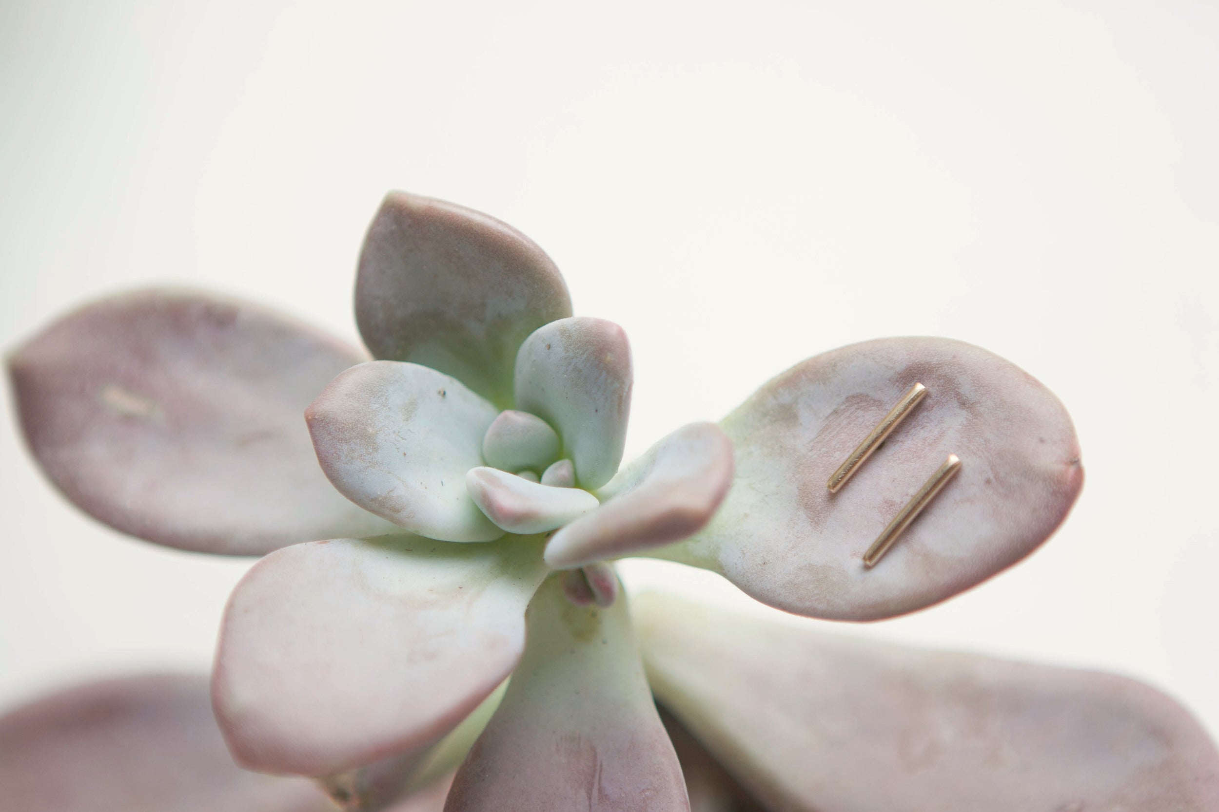 Linea' Earrings | 14k Recycled Gold